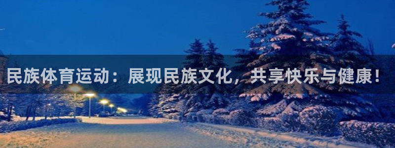 公海赌赌船官方正版app集团logo：民族体育运动：