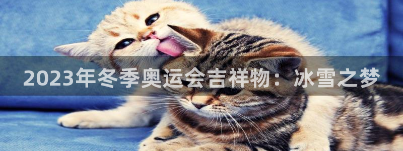 公海赌赌船官网下载招商电话号码查询：2023年冬季奥