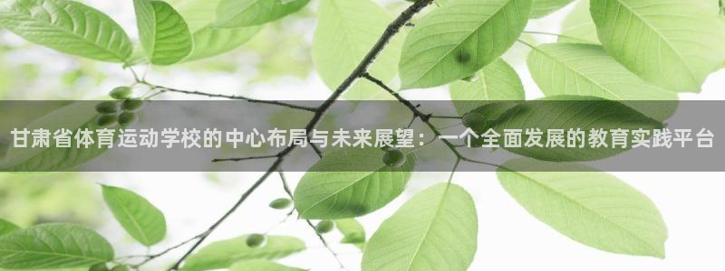 海南公海赌赌船官网下载：甘肃省体育运动学校的中心布局