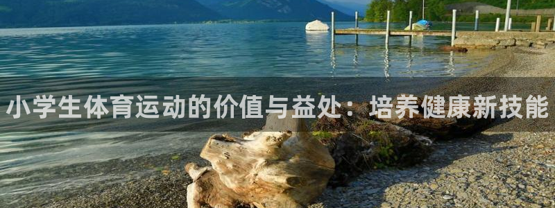 公海赌赌船官方正版app娱乐首页官网下载：小学生体育