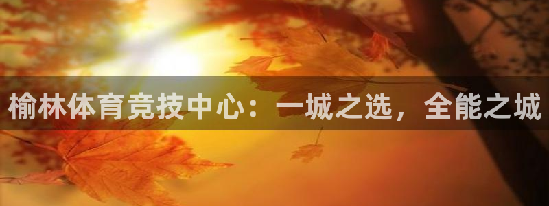 公海赌赌船官方正版app代理：榆林体育竞技中心：一城