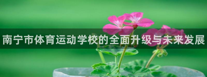 公海赌赌船官方正版app科技：南宁市体育运动学校的全