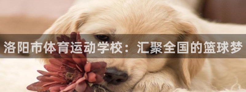 公海赌赌船官网下载平台注册要钱吗：洛阳市体育运动学校