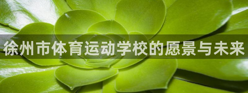 注册公海赌赌船官方正版app：徐州市体育运动学校的愿