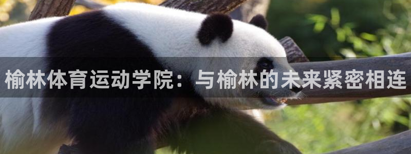 公海赌赌船官方正版app官方