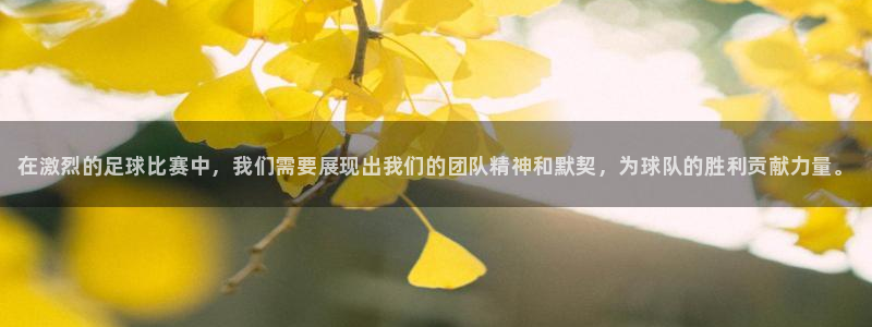 海南公海赌赌船官网下载：在激烈的足球比赛中，我们需要展现出我