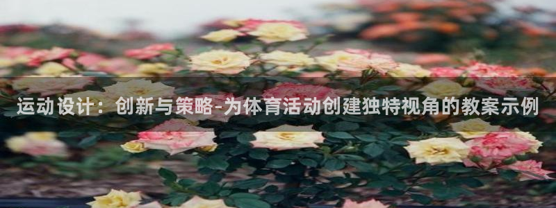 公海赌赌船官方正版app官方