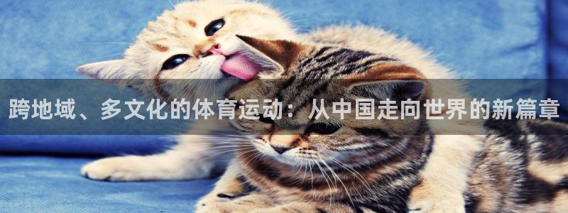 公海赌赌船官网下载软件：跨地域、多文化的体育运动：从