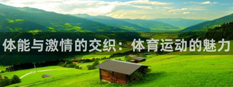 公海赌赌船官方正版app官网