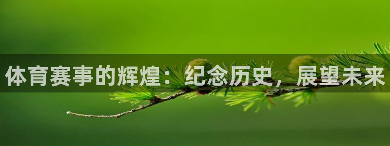 公海赌赌船官网下载官方客服电话：体育赛事的辉煌：纪念