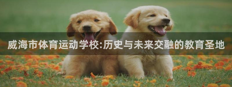 公海赌赌船官方正版app集团官网网址
