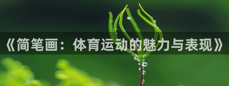 公海赌赌船官网下载招商电话是多少号码：《简笔画：体育运动的魅