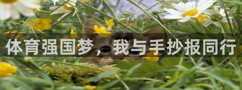 公海赌赌船官网下载招商电话地址是多少：体育强国梦，我与手抄报