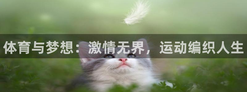 公海赌赌船官网下载平台APP