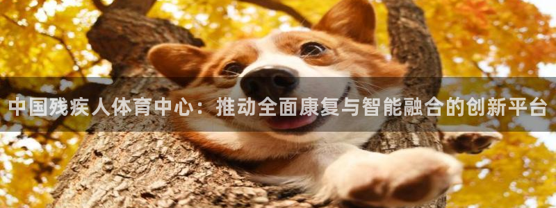 公海赌赌船官网下载是干嘛的公司：中国残疾人体育中心：推动全面