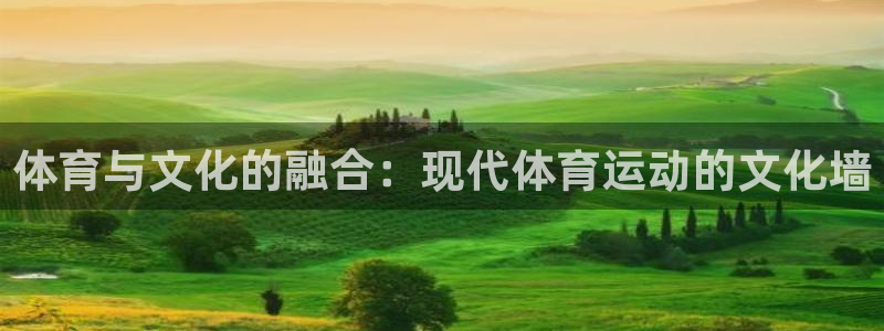 公海赌赌船官网下载软件：体育与文化的融合：现代体育运动的文化