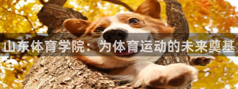 公海赌赌船官网下载招商电话号码是多少号：山东体育学院