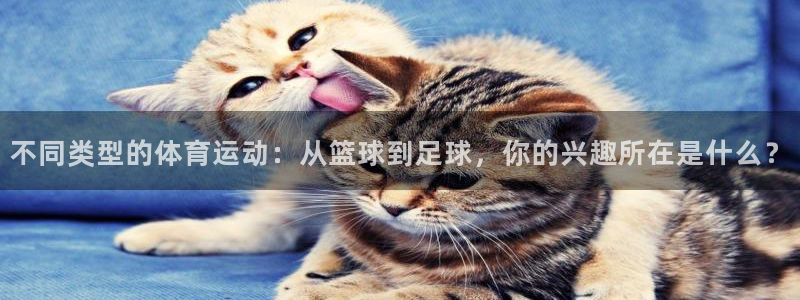 公海赌赌船官网下载招商电话号码是多少啊