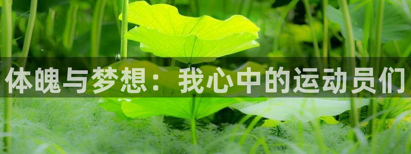 公海赌赌船官方正版app五金厂：体魄与梦想：我心中的运动员们