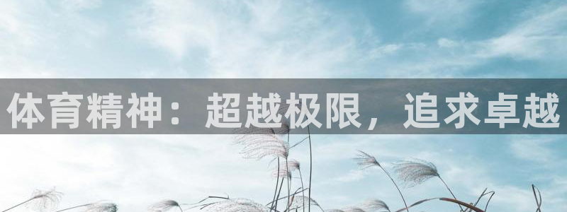 公海赌赌船官方正版app官方：体育精神：超越极限，追求卓越