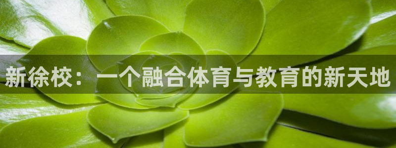 海南公海赌赌船官网下载：新徐校：一个融合体育与教育的新天地