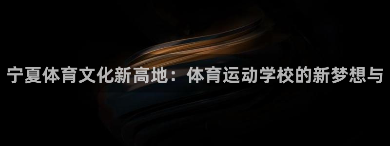 公海赌赌船官网下载平台注册流程图：宁夏体育文化新高地
