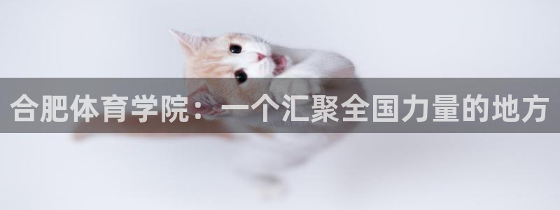 公海赌赌船官网下载官方客服电话