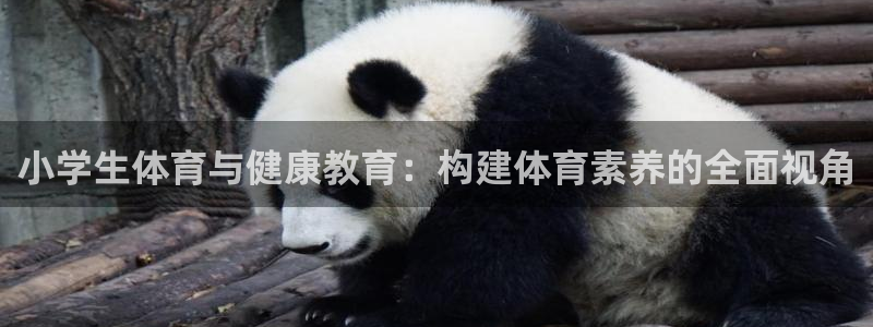 公海赌赌船官网下载开户：小学生体育与健康教育：构建体育素养的