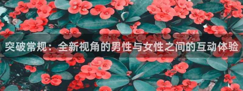 51视频在线直播nba：突破常规：全新视角的男性与女性之间的互动体验