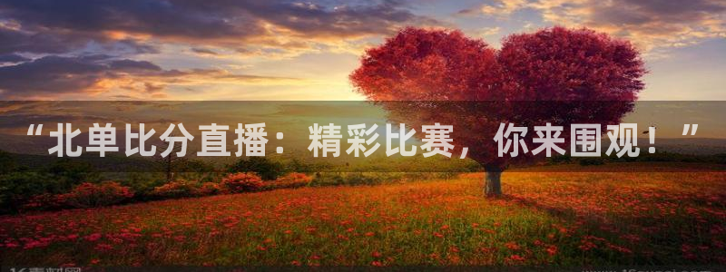 51视频在线直播nba：“北单比分直播：精彩比赛，你来围观！”